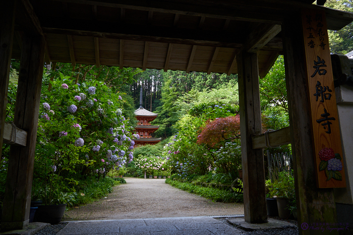 TAMRON 28-200mm F/2.8-5.6 Di III RXD Model A071 を使ってみ